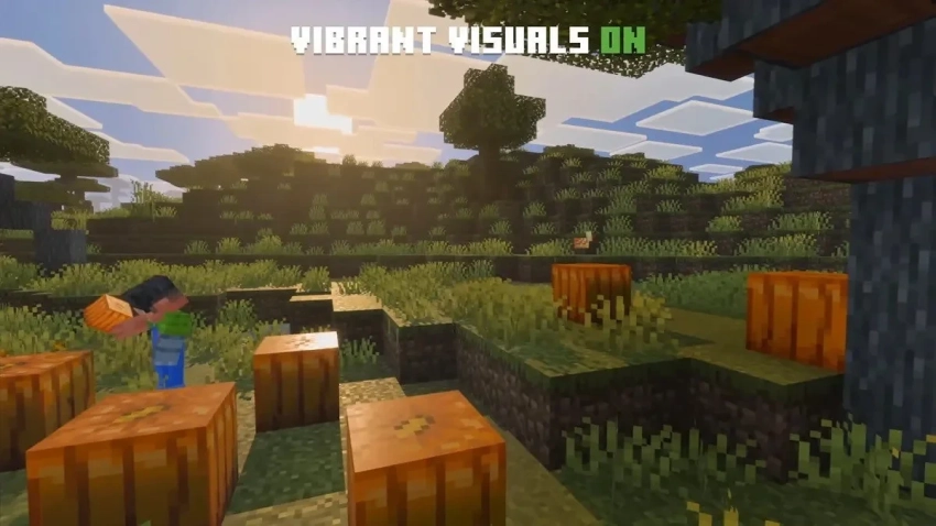 Игроки переживают, что улучшение визуальных эффектов убьёт FPS в Minecraft